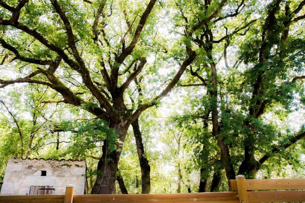 Willa La Taniere Des Druides Luzech Zewnętrze zdjęcie